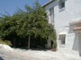 Accommodation: Macharaviaya, Macharaviaya, Andalusia