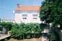 Accommodation: Island of IST near Zadar, Zadar, Dalmatien