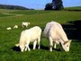Accommodation: Ottrau-Weissenborn, Kurhessisches Bergland, Hessen