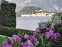 Accommodation: Cadenabbia (Griante), Como lake, Lombardey