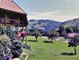 Accommodation: Fr�hnd, South-Black-Forest, Baden-Wuerttemberg