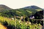 Accommodation: Enkirch, Moselle, Rheinland-Pfalz