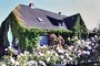 Accommodation: Wisch, Baltic Sea Coast, Schleswig-Holstein